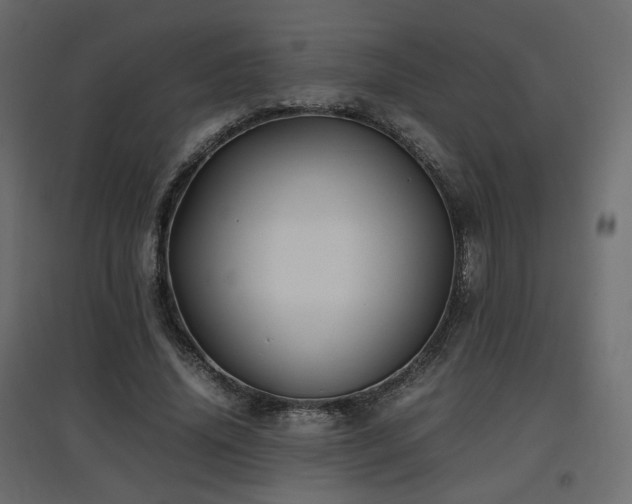 X0000097760636200803071255