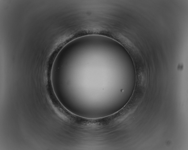 X0000097760638200803071255