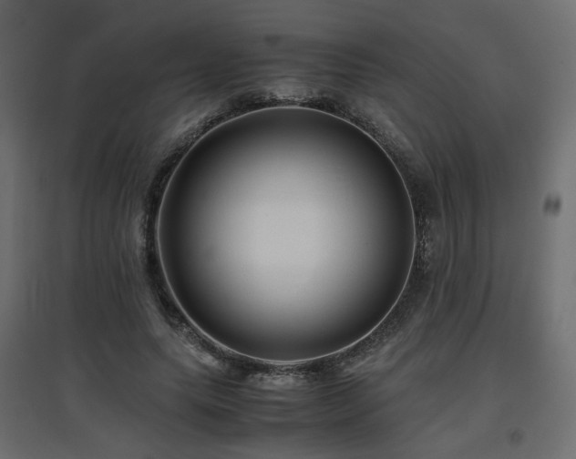 X0000097760639200803071255