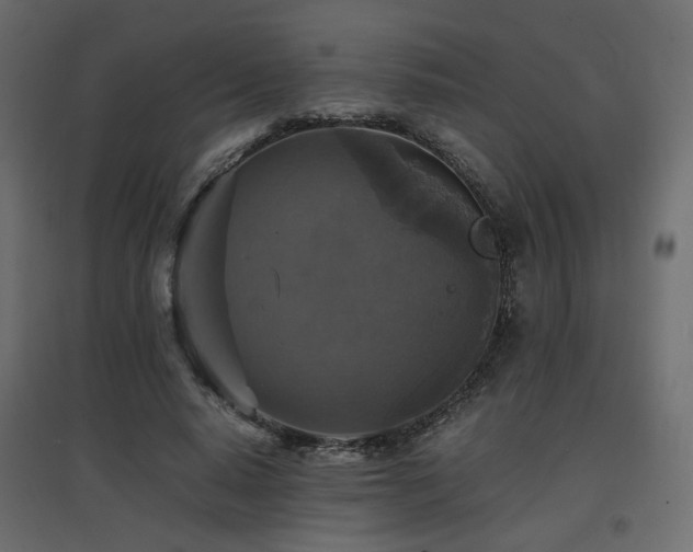 X0000097760640200803071255