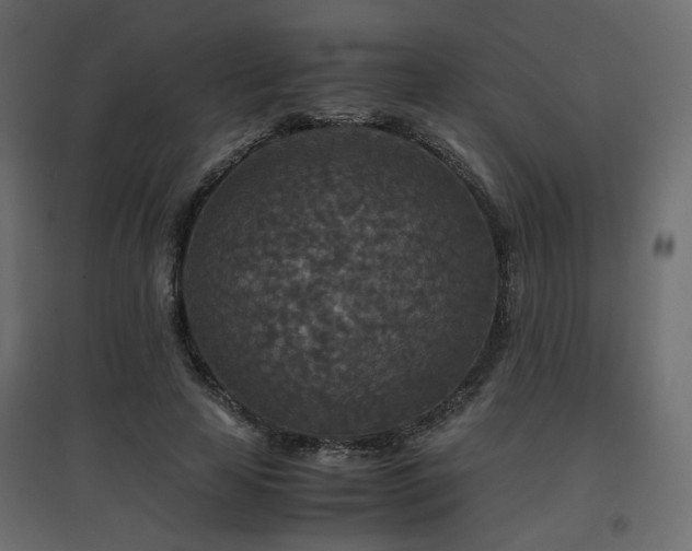 X0000097760641200803071255