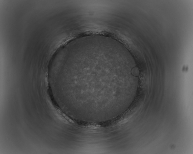 X0000097760642200803071255