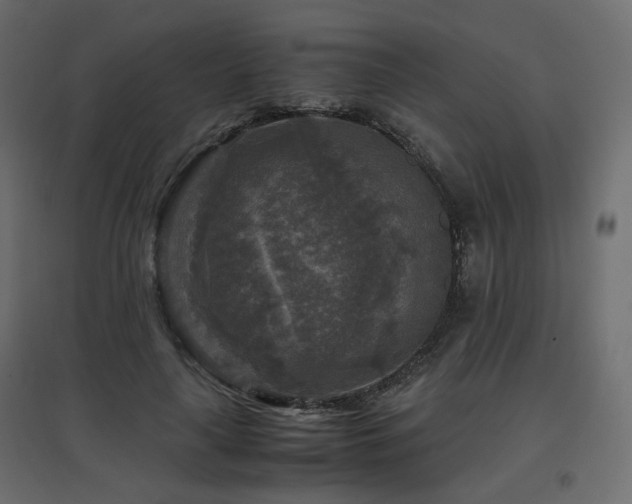 X0000097760643200803071255