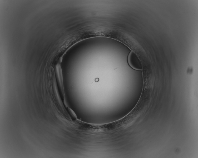 X0000097760646200803071256