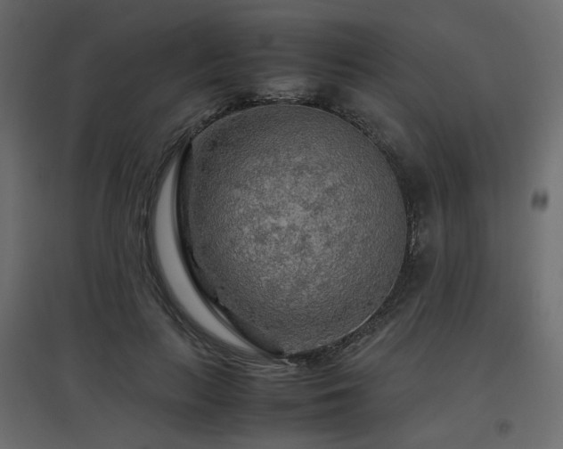 X0000097760647200803071256