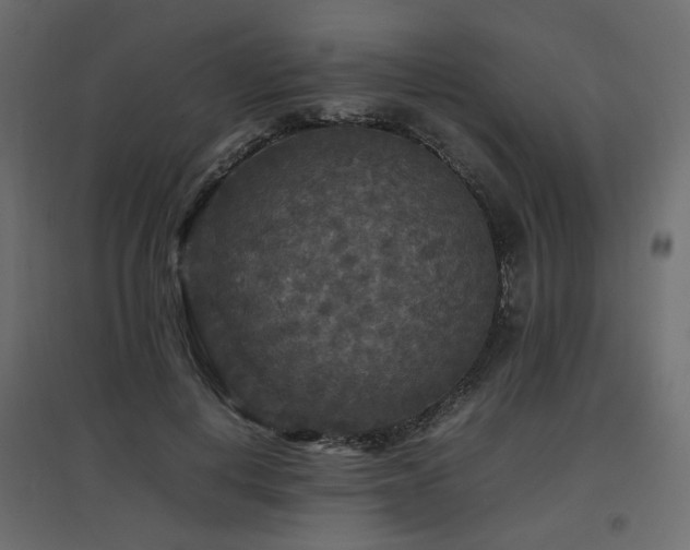 X0000097760648200803071256