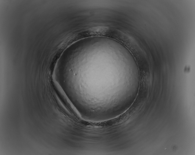 X0000097760649200803071256