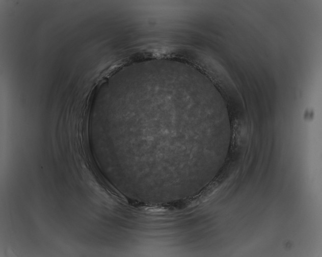 X0000097760650200803071256