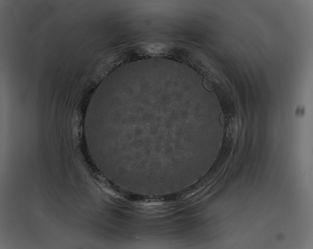 X0000097760651200803071256