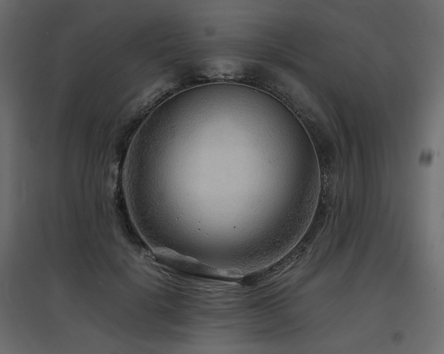 X0000097760652200803071256