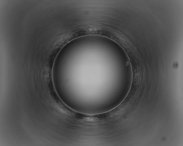 X0000097760654200803071256