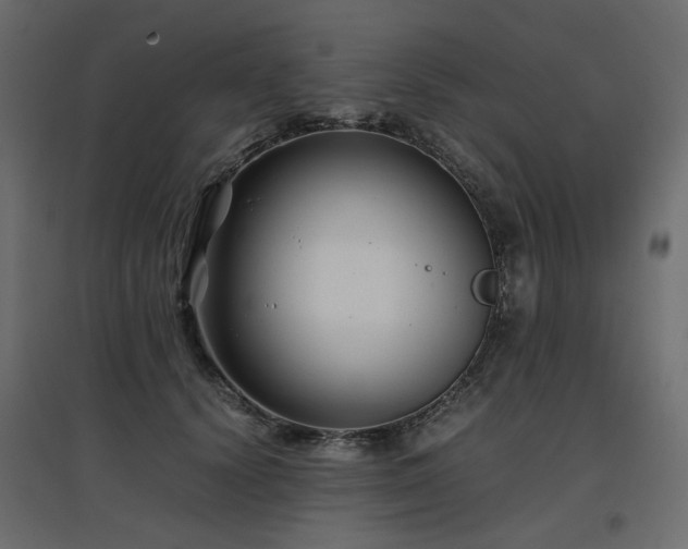 X0000097760656200803071256