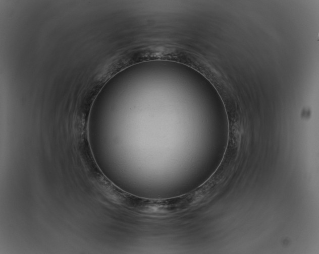 X0000097760657200803071256