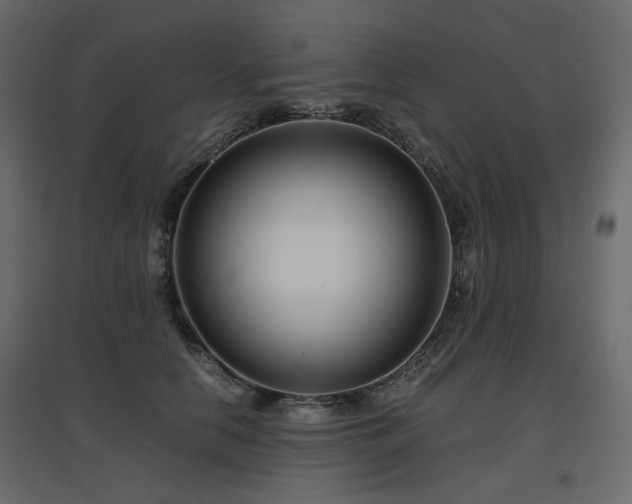 X0000097760658200803071256