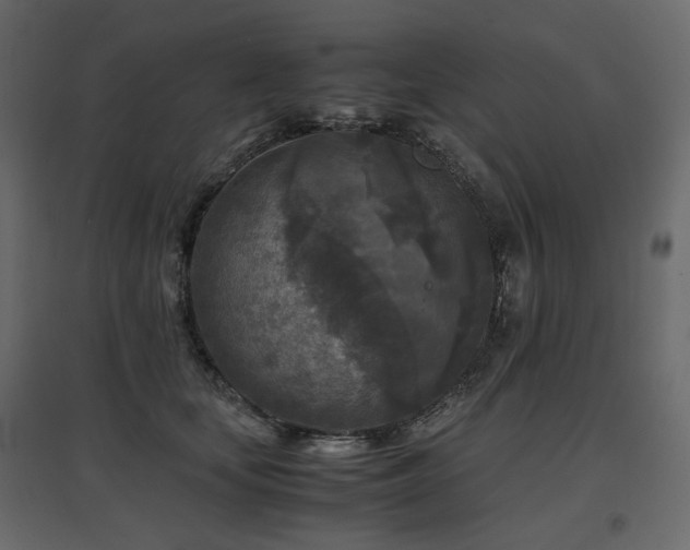 X0000097760659200803071256