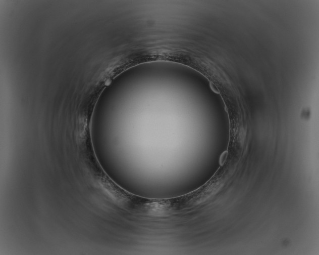 X0000097760660200803071256