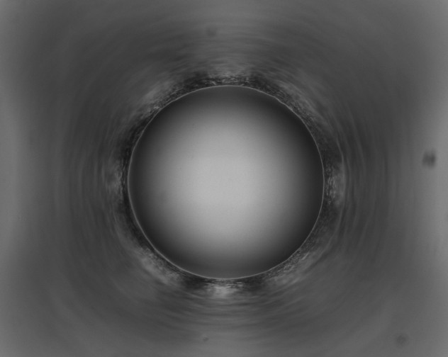 X0000097760662200803071256