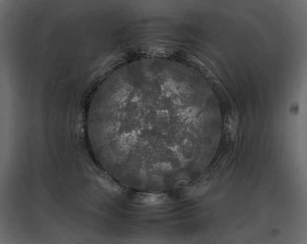 X0000097760663200803071256