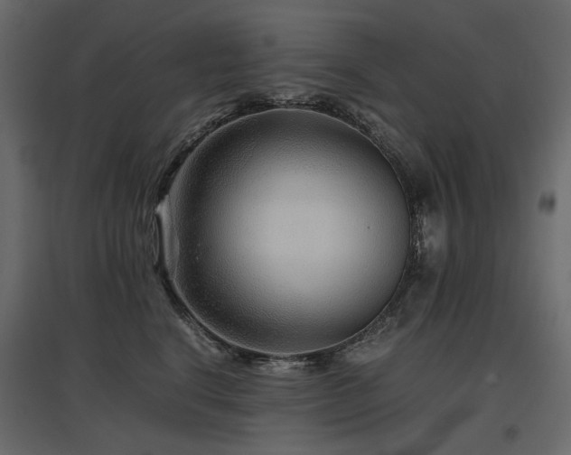 X0000097760664200803071256