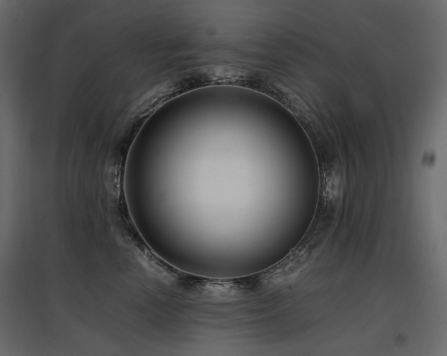 X0000097760666200803071256