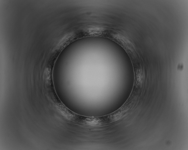 X0000097760667200803071256