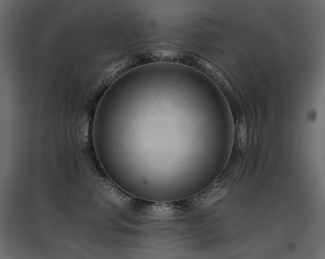 X0000097760668200803071256