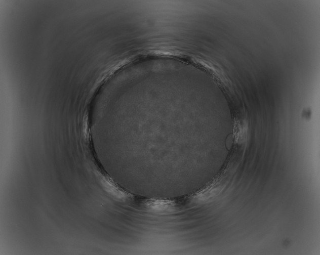 X0000097760670200803071256