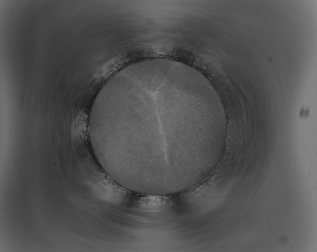 X0000097760672200803071256