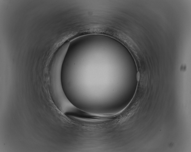 X0000097760673200803071255