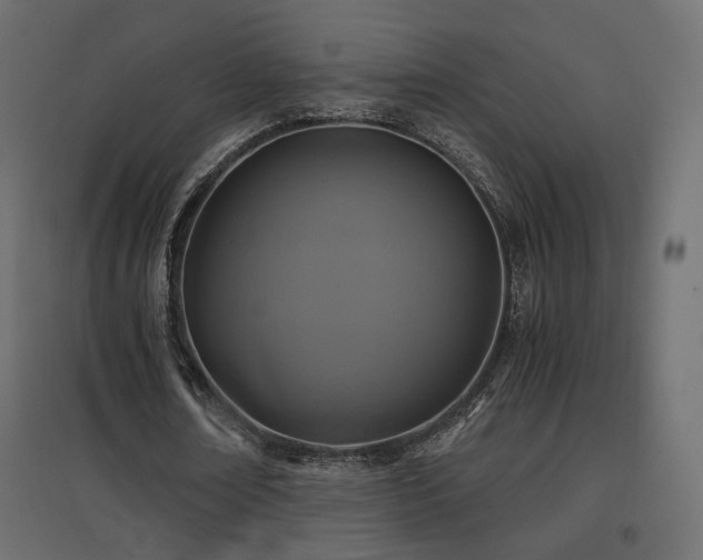 X0000097760674200803071255