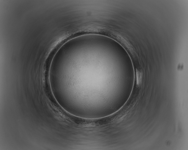 X0000097760675200803071255