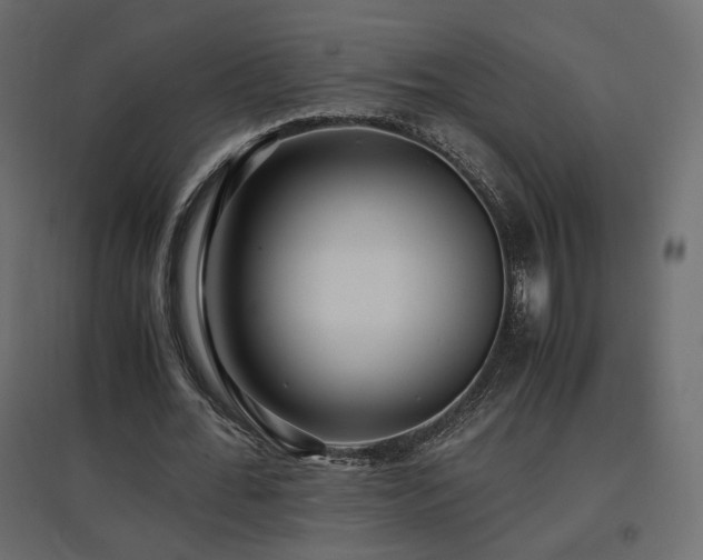 X0000097760676200803071255