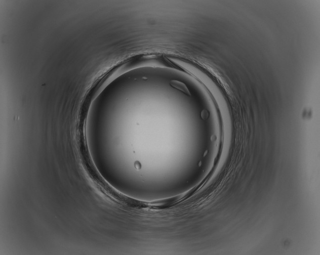 X0000097760677200803071255