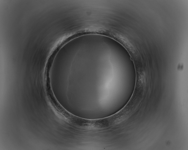 X0000097760678200803071255