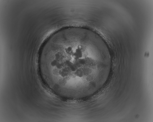 X0000097760679200803071255