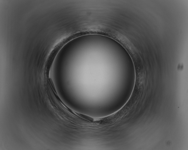 X0000097760680200803071255