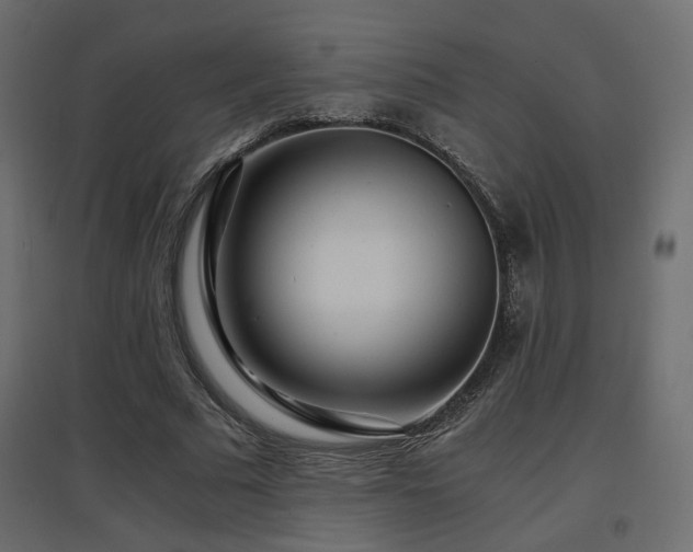 X0000097760681200803071255