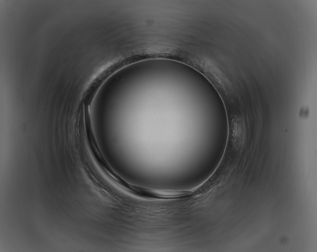 X0000097760684200803071255