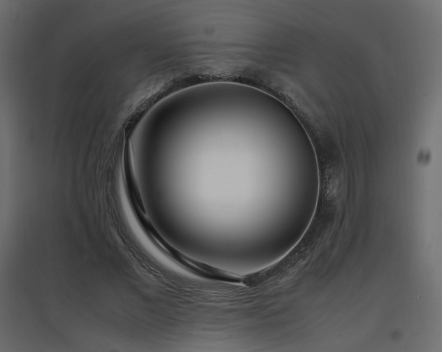 X0000097760685200803071255