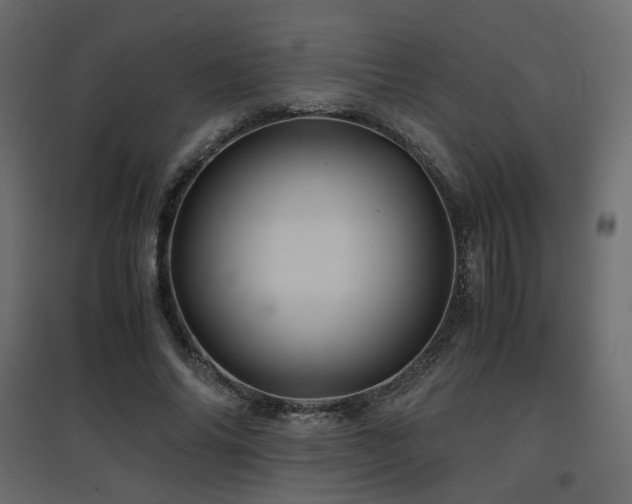 X0000097760686200803071255