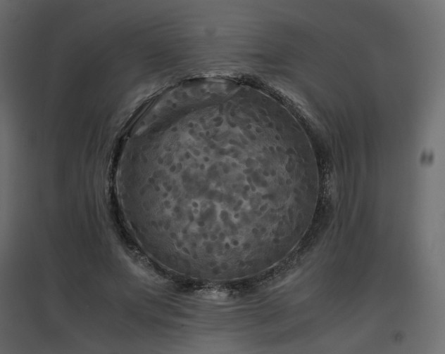 X0000097760687200803071255