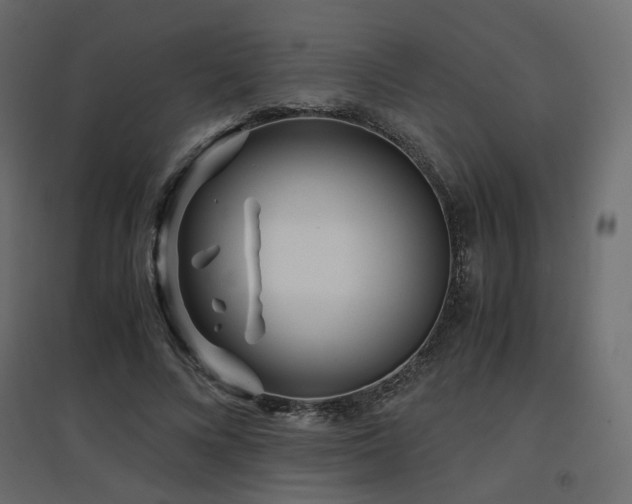 X0000097760688200803071255