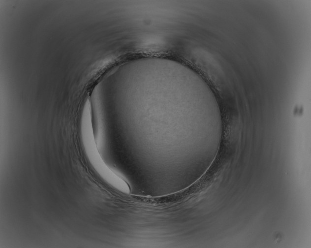 X0000097760689200803071255