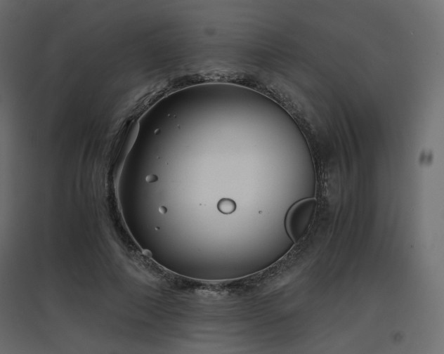 X0000097760690200803071255