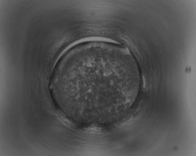 X0000097760691200803071255