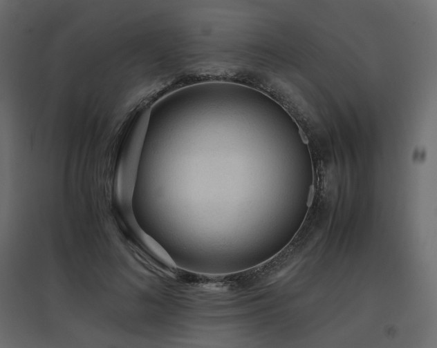 X0000097760692200803071255