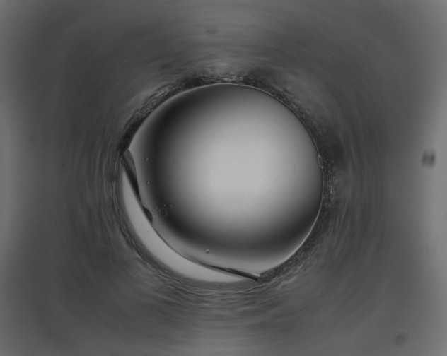 X0000097760693200803071255