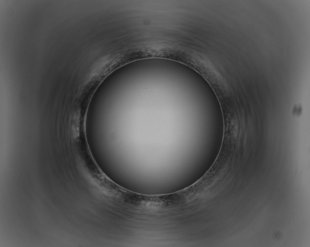 X0000097760694200803071255