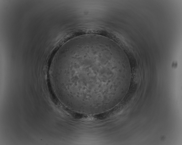 X0000097760695200803071255