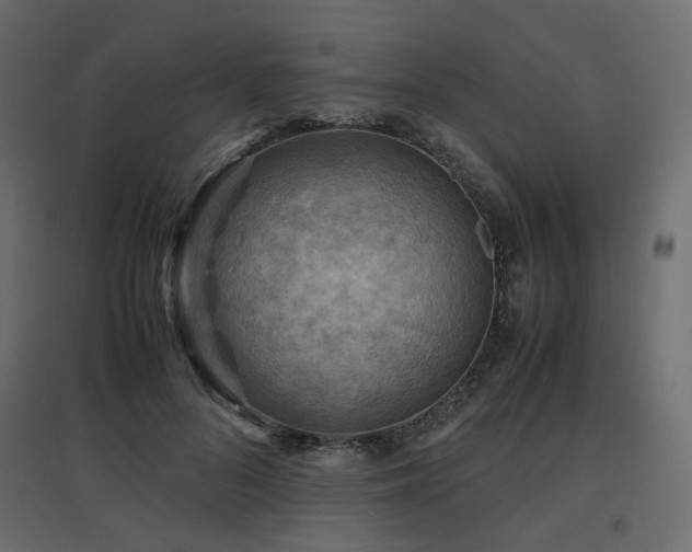 X0000097760696200803071255